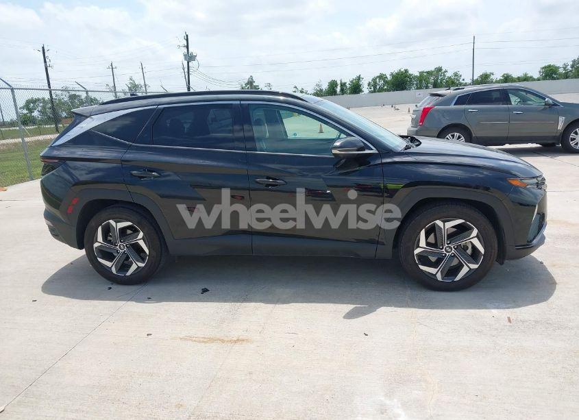 Photo 13 of 2024 Hyundai Tucson LIMITED (VIN 5NMJE3DE2RH351390)