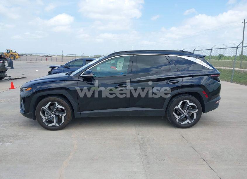Photo 14 of 2024 Hyundai Tucson LIMITED (VIN 5NMJE3DE2RH351390)