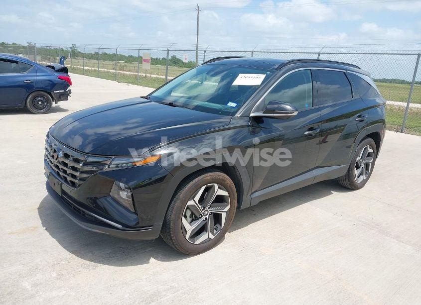 Photo 2 of 2024 Hyundai Tucson LIMITED (VIN 5NMJE3DE2RH351390)