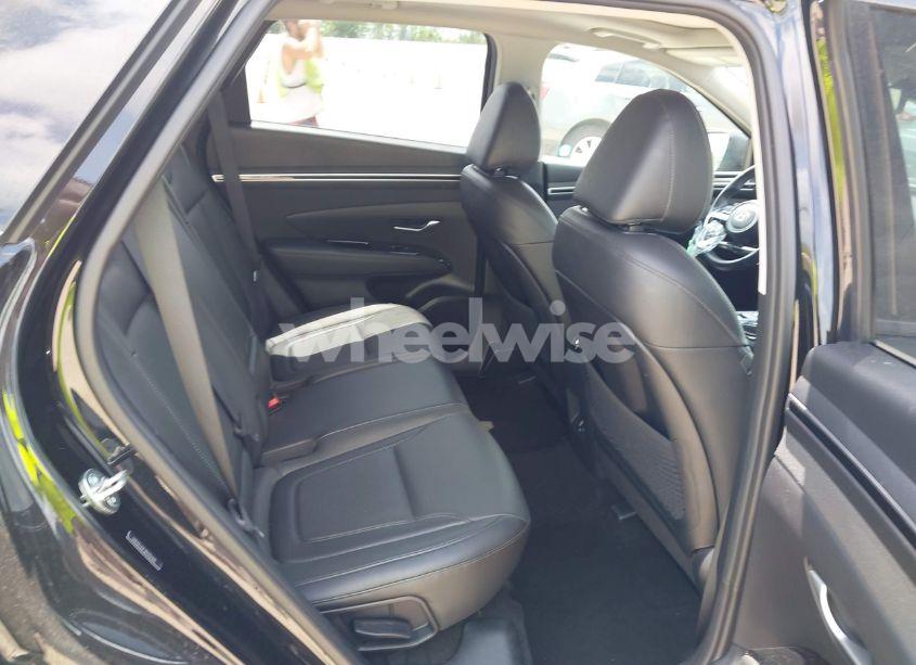 Photo 8 of 2024 Hyundai Tucson LIMITED (VIN 5NMJE3DE2RH351390)