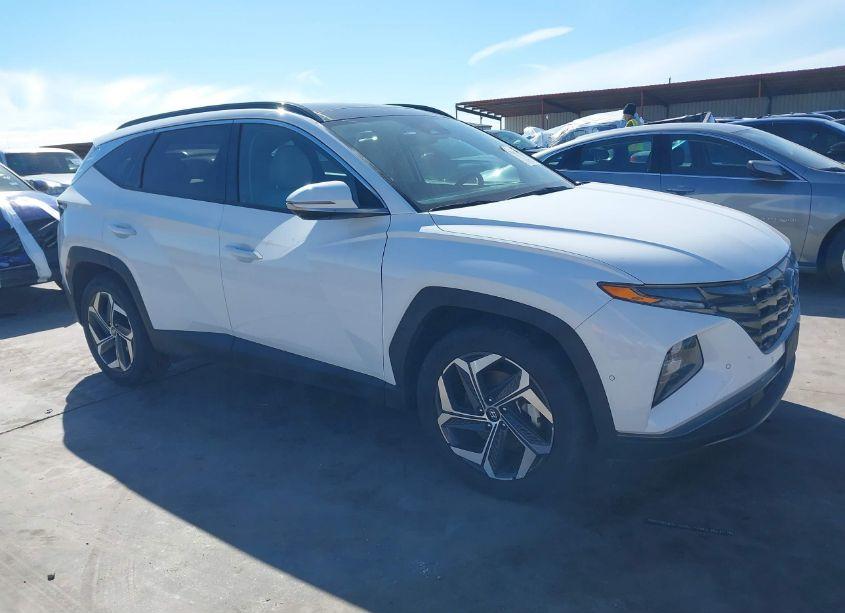 2024 Hyundai Tucson LIMITED (VIN 5NMJE3DE2RH361577) main photo