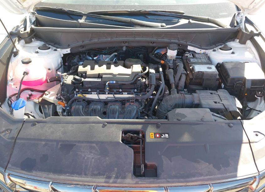 Photo 10 of 2024 Hyundai Tucson LIMITED (VIN 5NMJE3DE2RH361577)