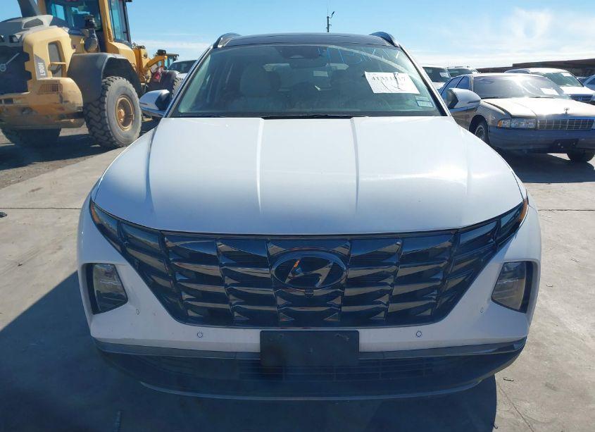 Photo 12 of 2024 Hyundai Tucson LIMITED (VIN 5NMJE3DE2RH361577)