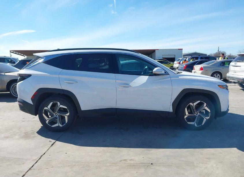 Photo 13 of 2024 Hyundai Tucson LIMITED (VIN 5NMJE3DE2RH361577)