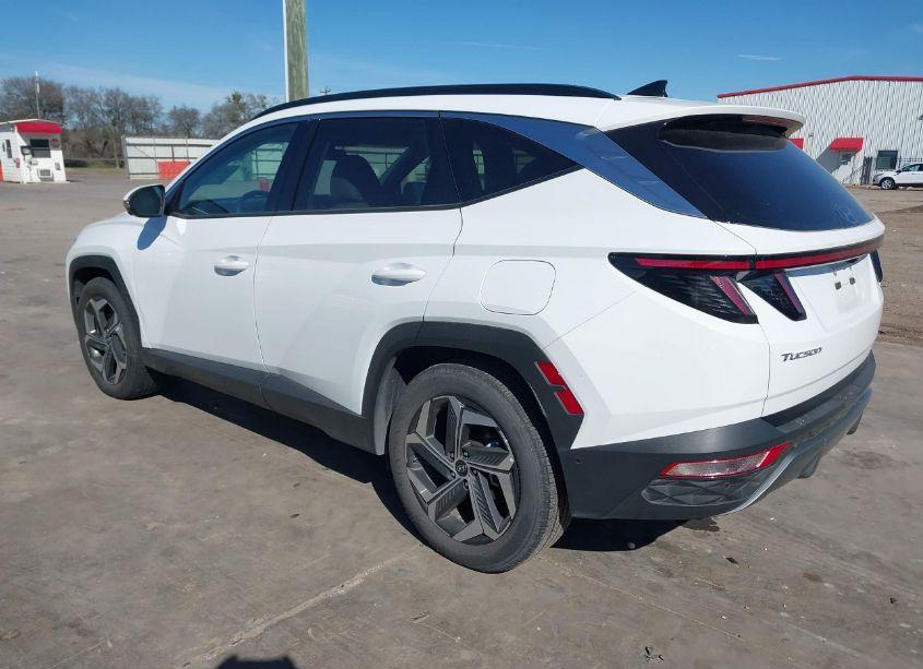 Photo 3 of 2024 Hyundai Tucson LIMITED (VIN 5NMJE3DE2RH361577)
