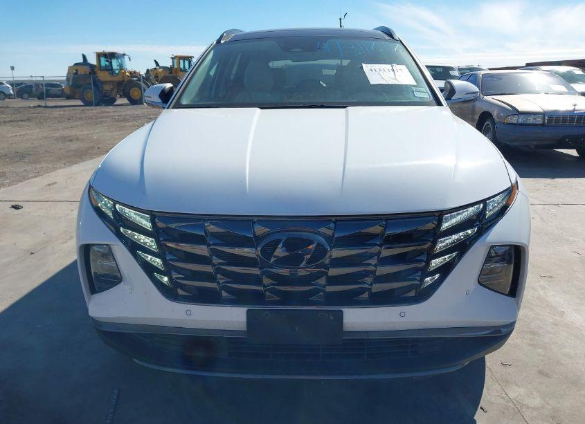 Photo 6 of 2024 Hyundai Tucson LIMITED (VIN 5NMJE3DE2RH361577)