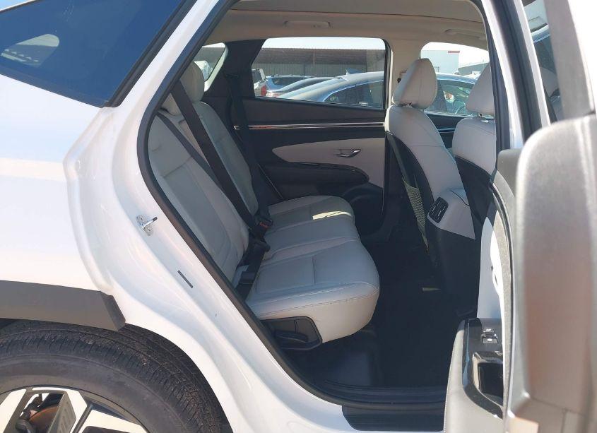 Photo 8 of 2024 Hyundai Tucson LIMITED (VIN 5NMJE3DE2RH361577)