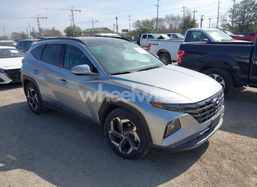 2024 Hyundai Tucson LIMITED (VIN 5NMJE3DE3RH316759) main photo