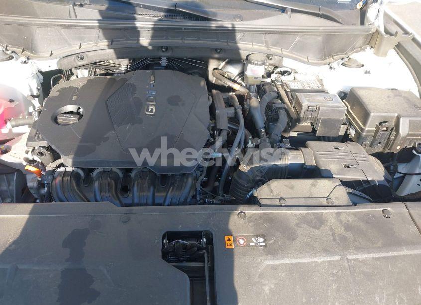 Photo 10 of 2024 Hyundai Tucson LIMITED (VIN 5NMJE3DE3RH340771)