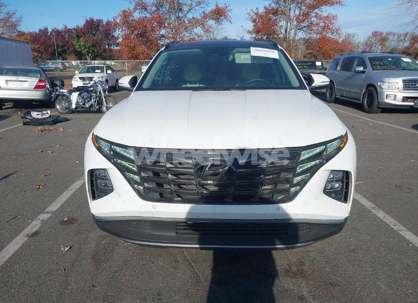 Photo 12 of 2024 Hyundai Tucson LIMITED (VIN 5NMJE3DE3RH340771)