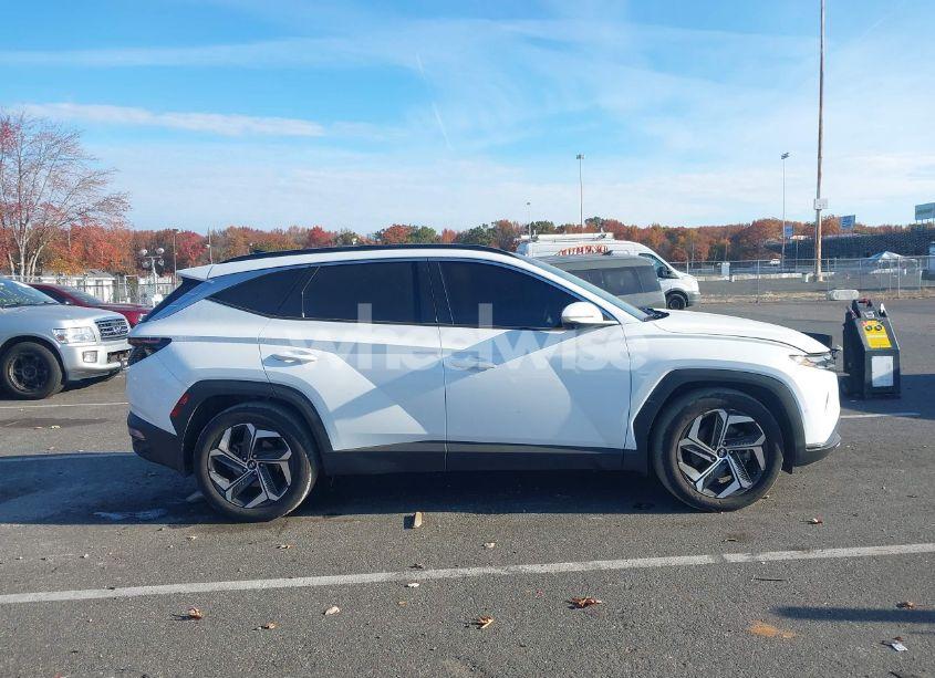 Photo 13 of 2024 Hyundai Tucson LIMITED (VIN 5NMJE3DE3RH340771)