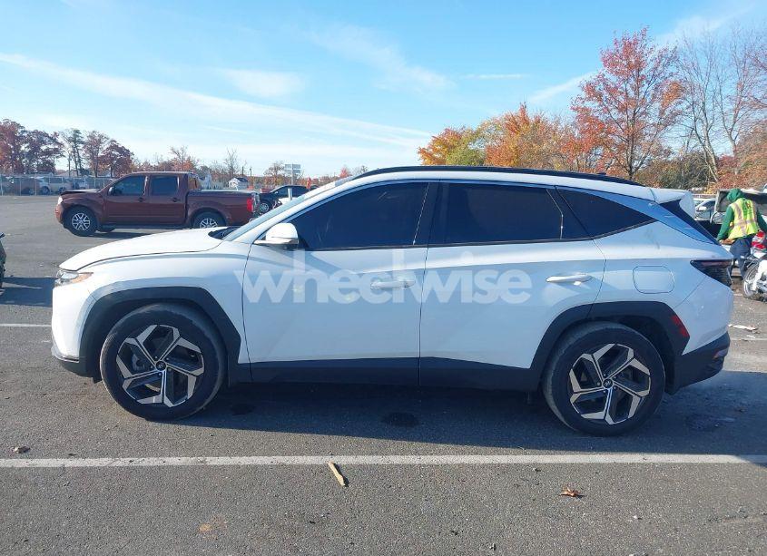 Photo 14 of 2024 Hyundai Tucson LIMITED (VIN 5NMJE3DE3RH340771)
