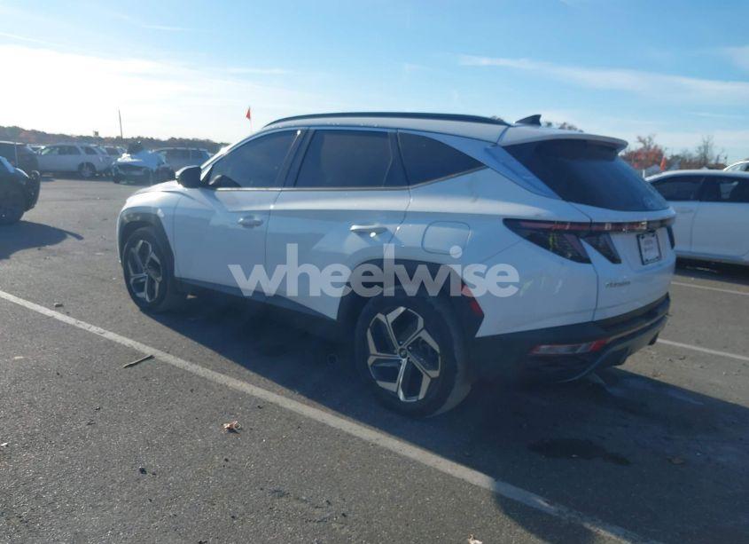 Photo 3 of 2024 Hyundai Tucson LIMITED (VIN 5NMJE3DE3RH340771)