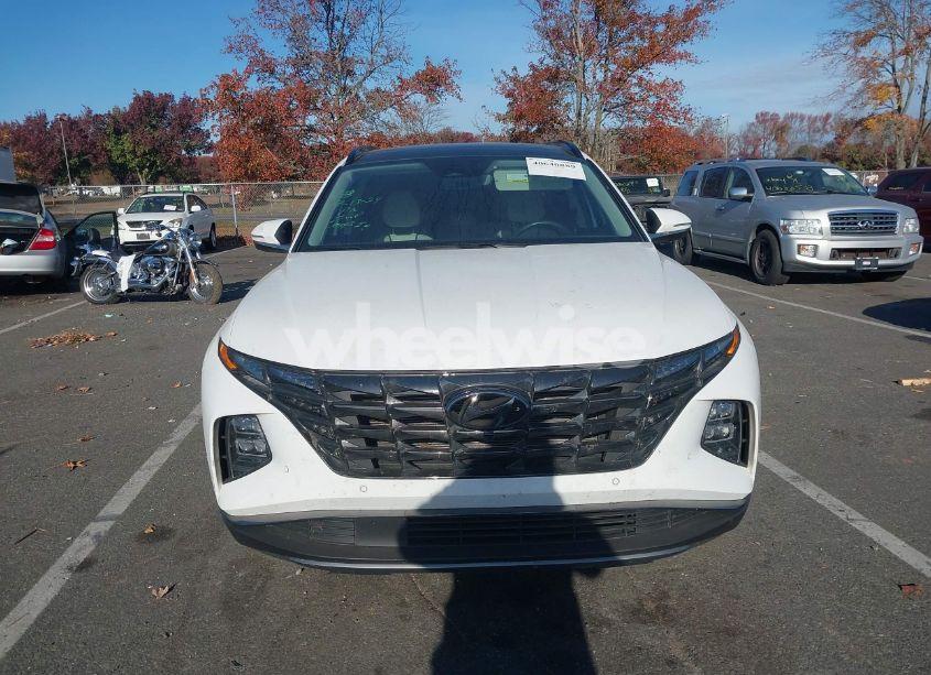 Photo 6 of 2024 Hyundai Tucson LIMITED (VIN 5NMJE3DE3RH340771)