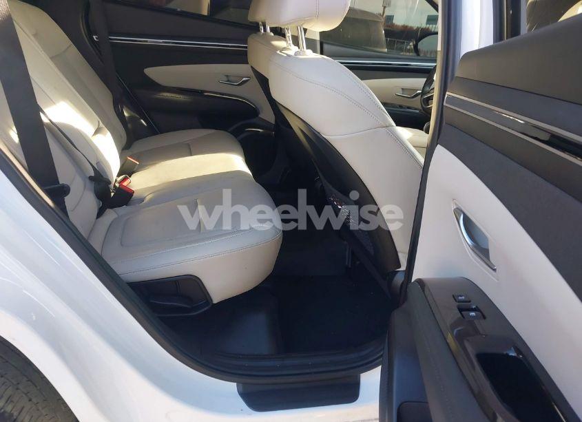 Photo 8 of 2024 Hyundai Tucson LIMITED (VIN 5NMJE3DE3RH340771)