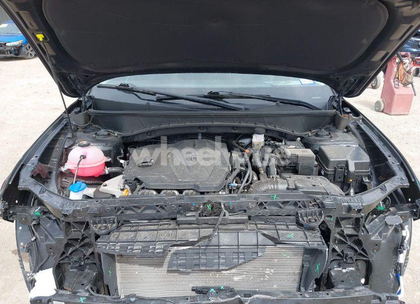 Photo 10 of 2024 Hyundai Tucson LIMITED (VIN 5NMJE3DE4RH346935)