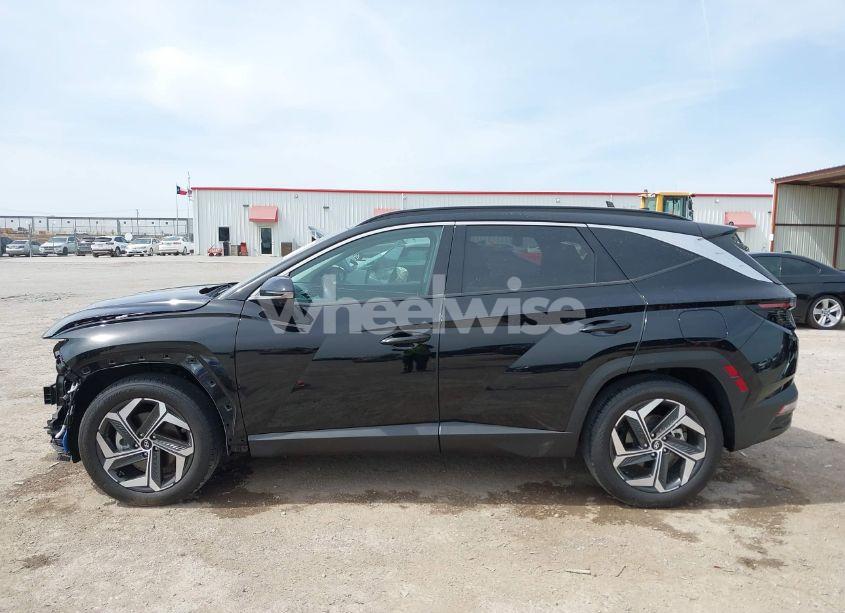 Photo 15 of 2024 Hyundai Tucson LIMITED (VIN 5NMJE3DE4RH346935)