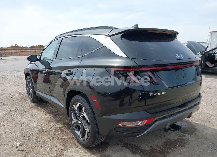 Photo 3 of 2024 Hyundai Tucson LIMITED (VIN 5NMJE3DE4RH346935)