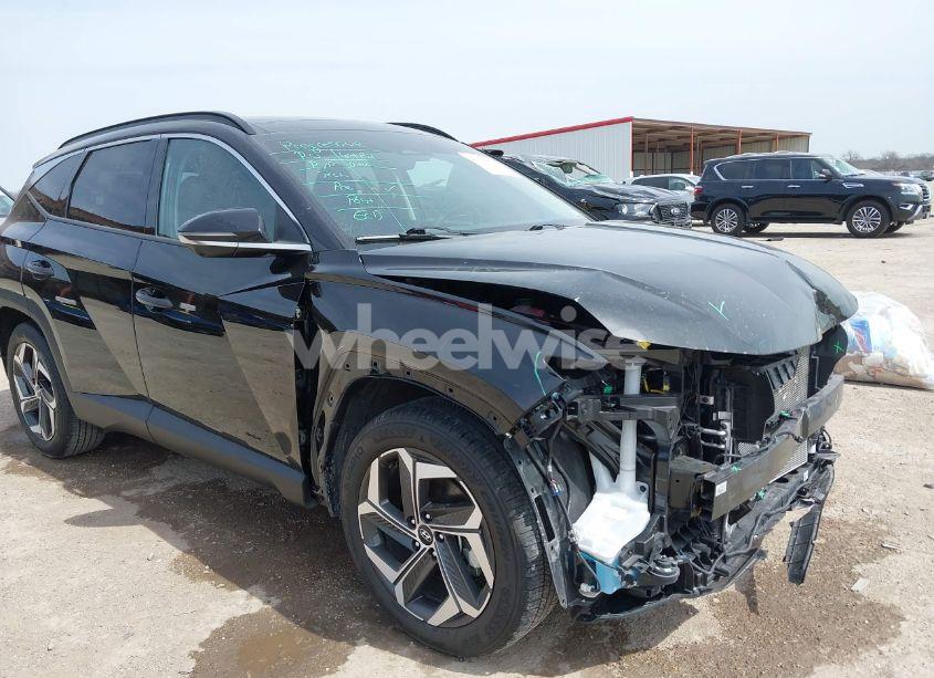 Photo 6 of 2024 Hyundai Tucson LIMITED (VIN 5NMJE3DE4RH346935)