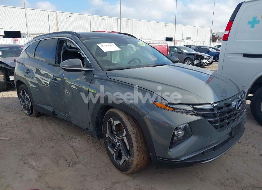 2024 Hyundai Tucson LIMITED (VIN 5NMJE3DE5RH317864) main photo