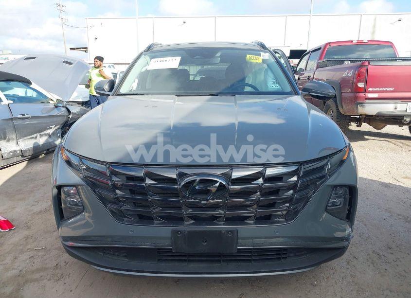 Photo 13 of 2024 Hyundai Tucson LIMITED (VIN 5NMJE3DE5RH317864)