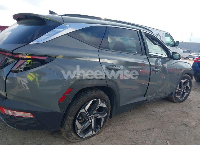 Photo 14 of 2024 Hyundai Tucson LIMITED (VIN 5NMJE3DE5RH317864)