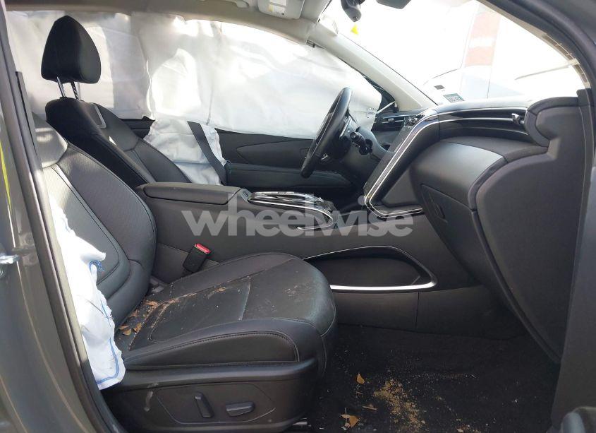 Photo 5 of 2024 Hyundai Tucson LIMITED (VIN 5NMJE3DE5RH317864)