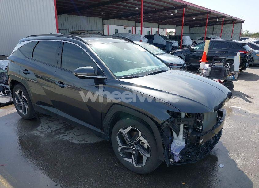 2024 Hyundai Tucson LIMITED (VIN 5NMJE3DE5RH325575) main photo