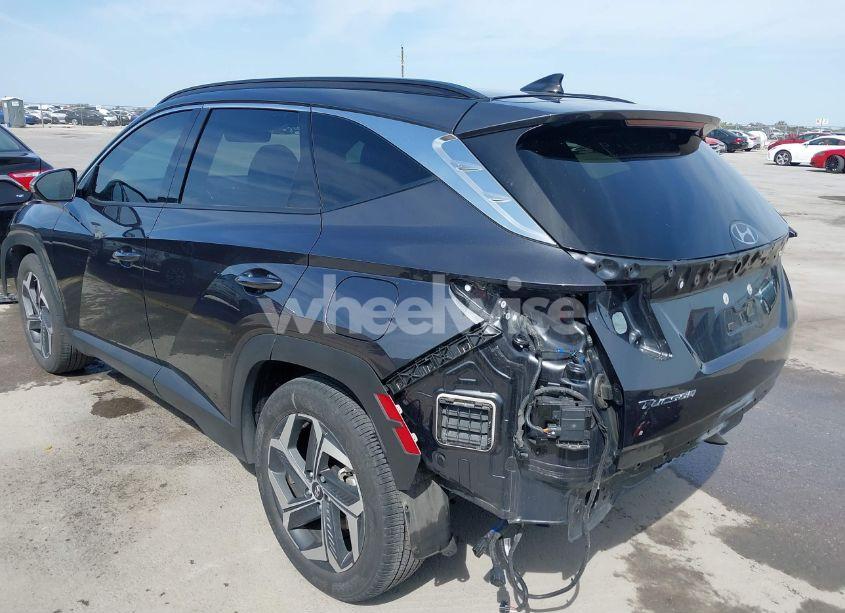 Photo 21 of 2024 Hyundai Tucson LIMITED (VIN 5NMJE3DE5RH325575)