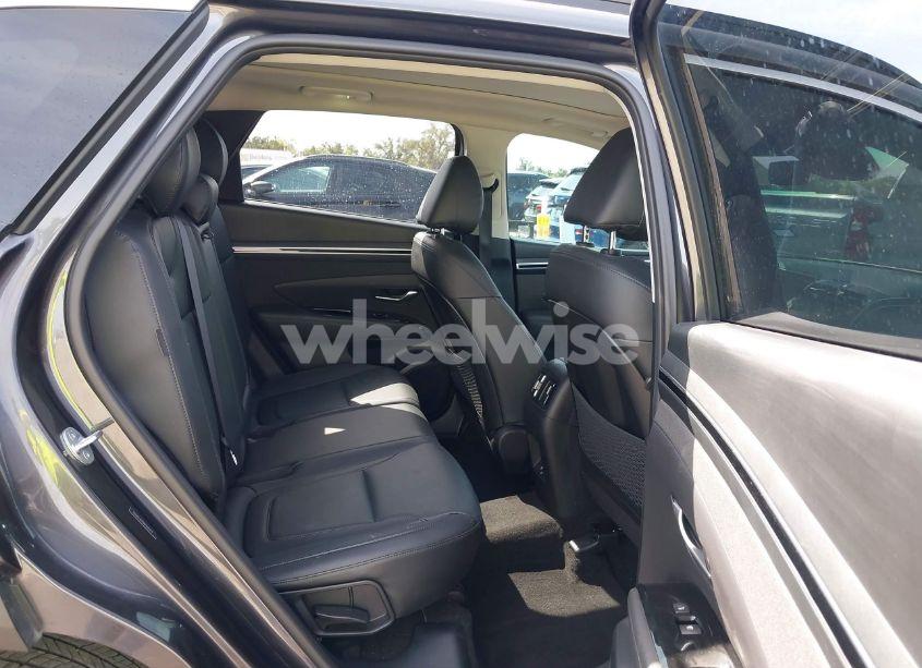 Photo 8 of 2024 Hyundai Tucson LIMITED (VIN 5NMJE3DE5RH325575)