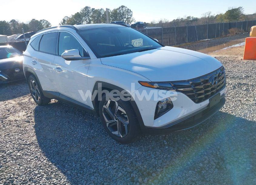 2024 Hyundai Tucson LIMITED (VIN 5NMJE3DE6RH330221) main photo