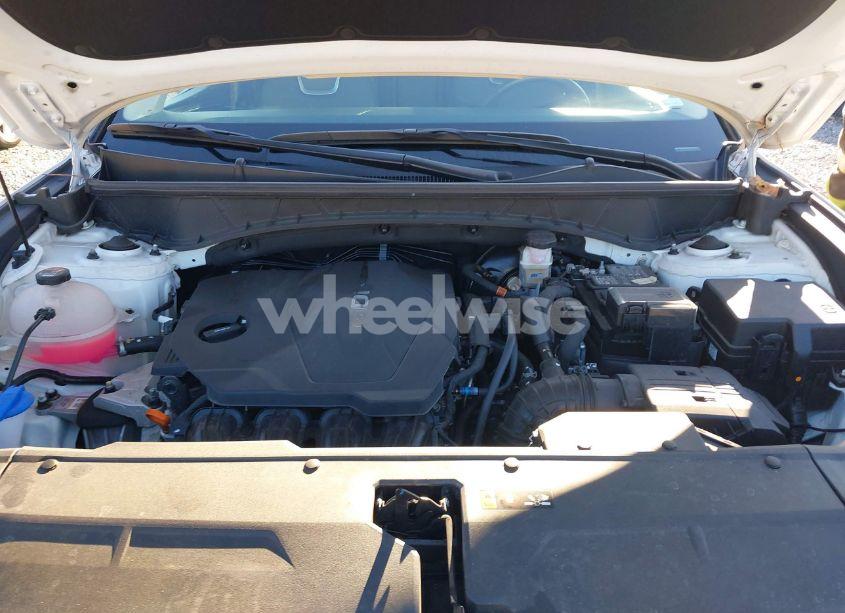 Photo 10 of 2024 Hyundai Tucson LIMITED (VIN 5NMJE3DE6RH330221)