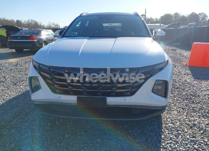 Photo 12 of 2024 Hyundai Tucson LIMITED (VIN 5NMJE3DE6RH330221)