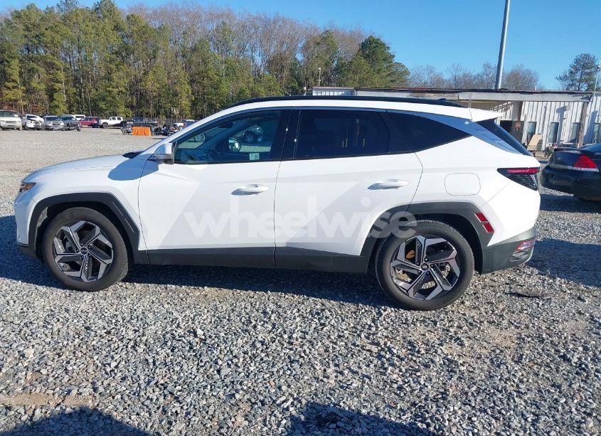 Photo 14 of 2024 Hyundai Tucson LIMITED (VIN 5NMJE3DE6RH330221)