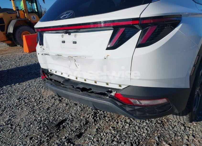 Photo 18 of 2024 Hyundai Tucson LIMITED (VIN 5NMJE3DE6RH330221)