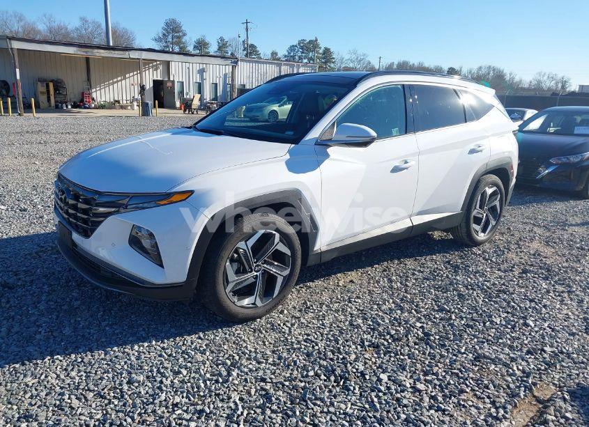 Photo 2 of 2024 Hyundai Tucson LIMITED (VIN 5NMJE3DE6RH330221)