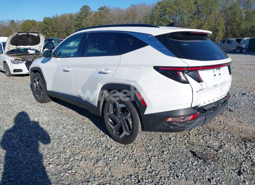 Photo 3 of 2024 Hyundai Tucson LIMITED (VIN 5NMJE3DE6RH330221)
