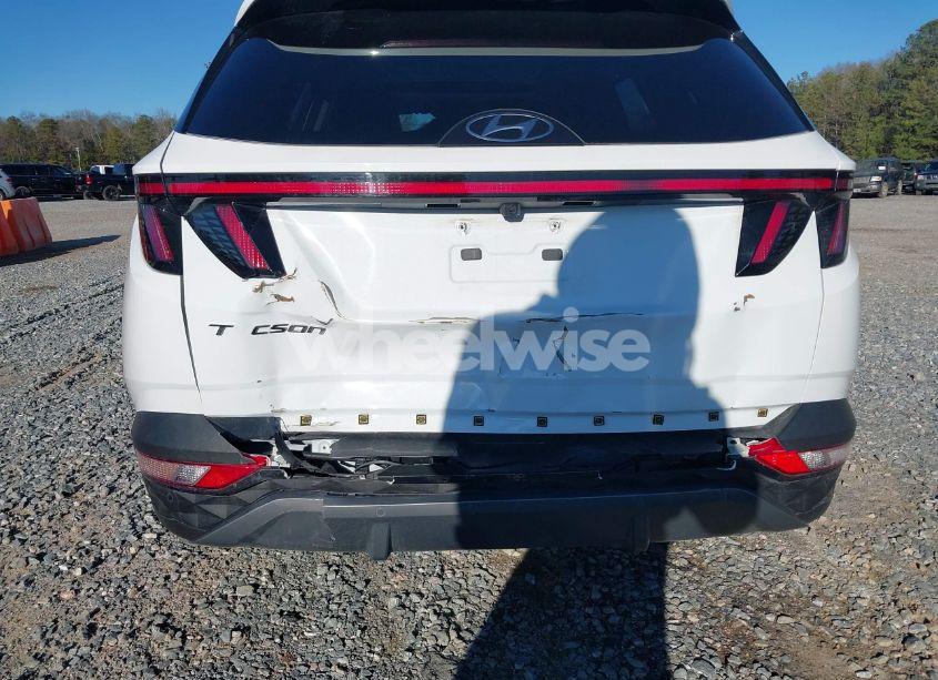 Photo 6 of 2024 Hyundai Tucson LIMITED (VIN 5NMJE3DE6RH330221)