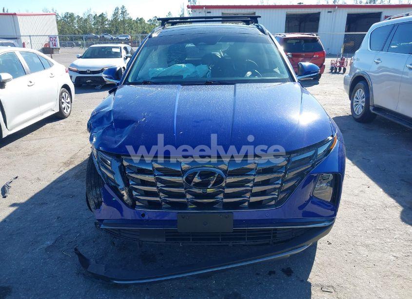 Photo 12 of 2024 Hyundai Tucson LIMITED (VIN 5NMJE3DE7RH327988)