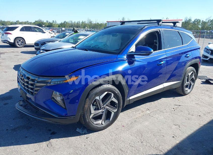 Photo 2 of 2024 Hyundai Tucson LIMITED (VIN 5NMJE3DE7RH327988)