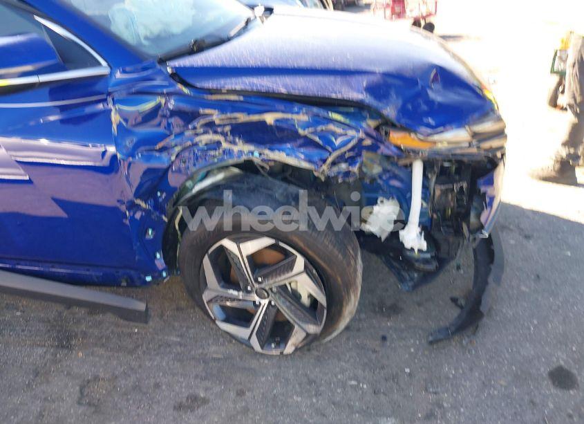 Photo 6 of 2024 Hyundai Tucson LIMITED (VIN 5NMJE3DE7RH327988)