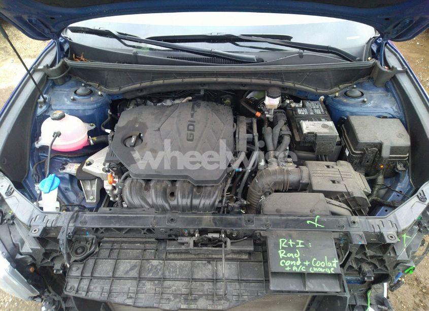 Photo 10 of 2024 Hyundai Tucson LIMITED (VIN 5NMJE3DE7RH350431)