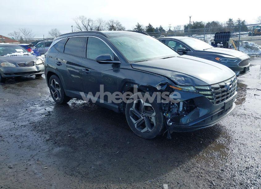 2024 Hyundai Tucson LIMITED (VIN 5NMJE3DE7RH357895) main photo