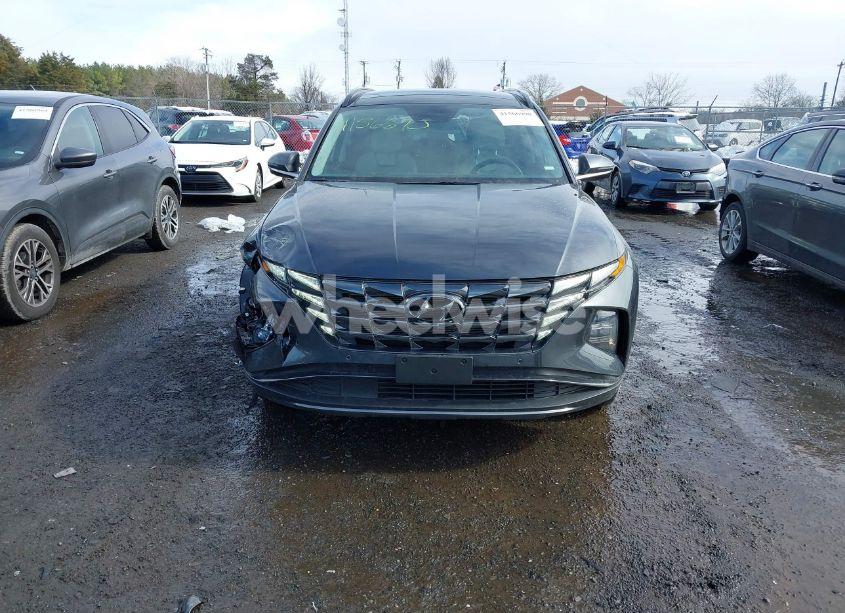 Photo 13 of 2024 Hyundai Tucson LIMITED (VIN 5NMJE3DE7RH357895)