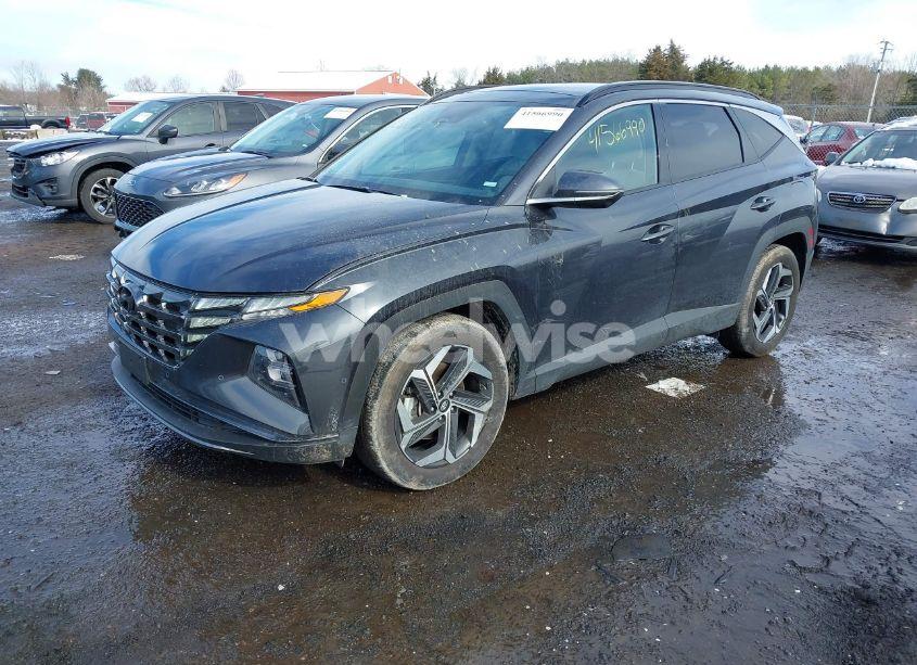 Photo 2 of 2024 Hyundai Tucson LIMITED (VIN 5NMJE3DE7RH357895)