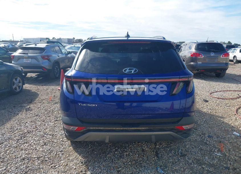 Photo 16 of 2024 Hyundai Tucson (VIN 5NMJE3DE7RH360733)