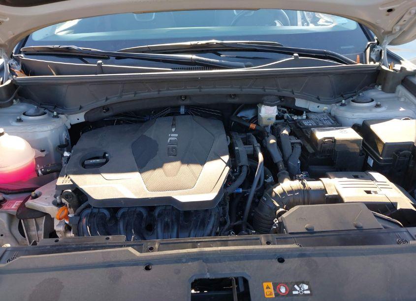 Photo 10 of 2024 Hyundai Tucson LIMITED (VIN 5NMJE3DE8RH350535)