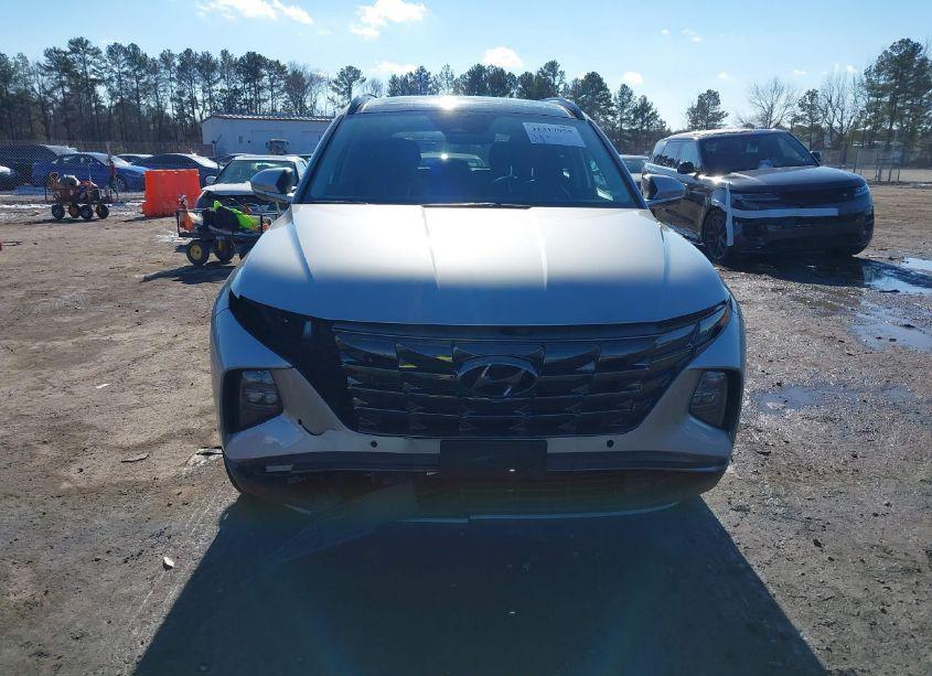 Photo 12 of 2024 Hyundai Tucson LIMITED (VIN 5NMJE3DE8RH350535)