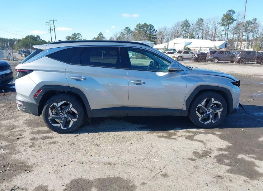 Photo 13 of 2024 Hyundai Tucson LIMITED (VIN 5NMJE3DE8RH350535)