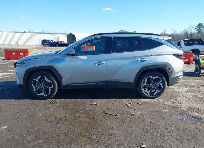 Photo 14 of 2024 Hyundai Tucson LIMITED (VIN 5NMJE3DE8RH350535)